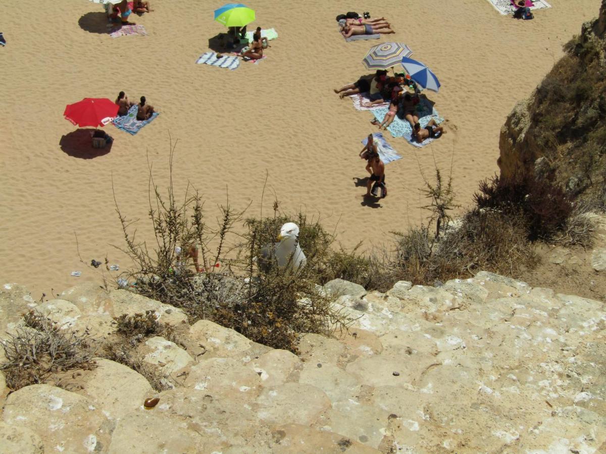 Casa Encantada - Praia Da Rocha Portimão Zewnętrze zdjęcie